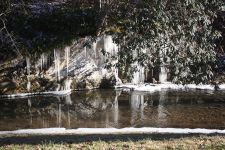 Images of Walnut Creek