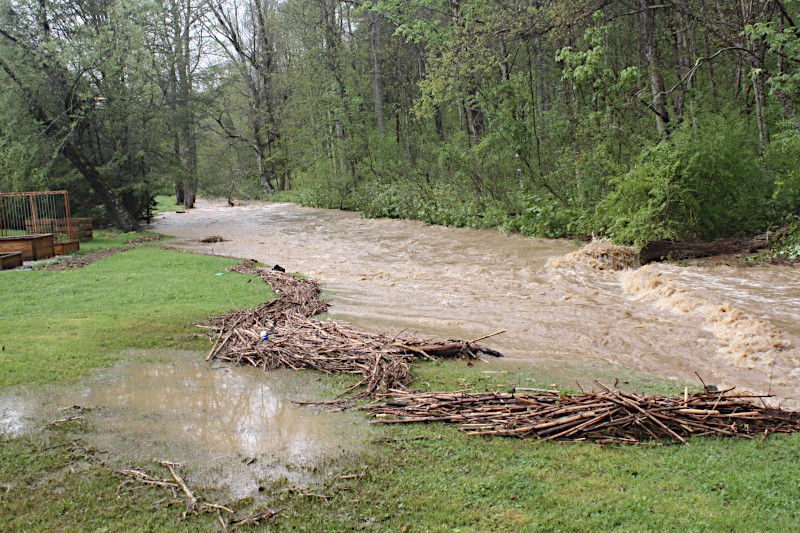 Walnut Creek during  the flood of 2019