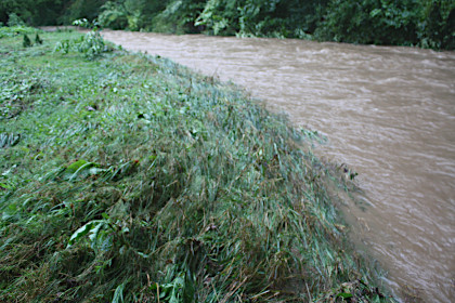 Creek bank after the flood of 2021.