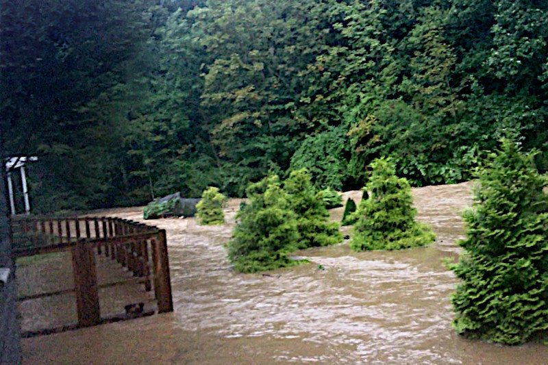 Walnut Creek During  The Flood Of 2026 As Seen From 
		The Workbench Window