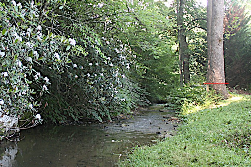 Image of Walnut Creek in 2025 with 
		water at a typical level as seen from the workbench window.