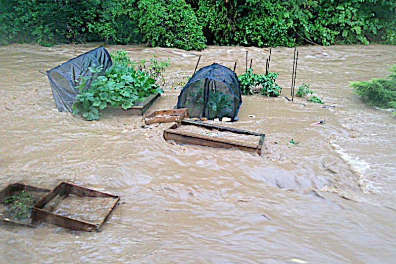 Garden inundated with water during 
		the flood of 2026