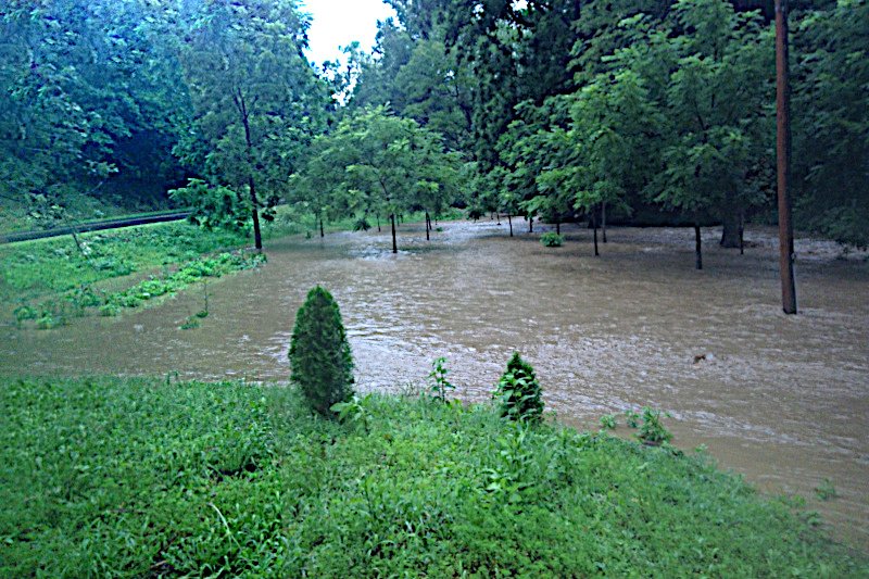 Flooding of the Black Walnut Orchard 		During the Flood of 2026