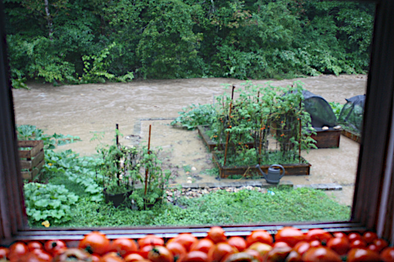 Garden during flood.