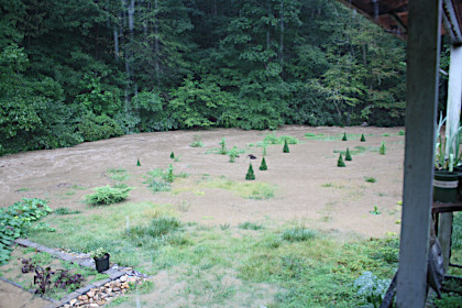 Walnut Creek flooding the garden following 
		heavy rains from Tropical Storm Fred in August of 2021 