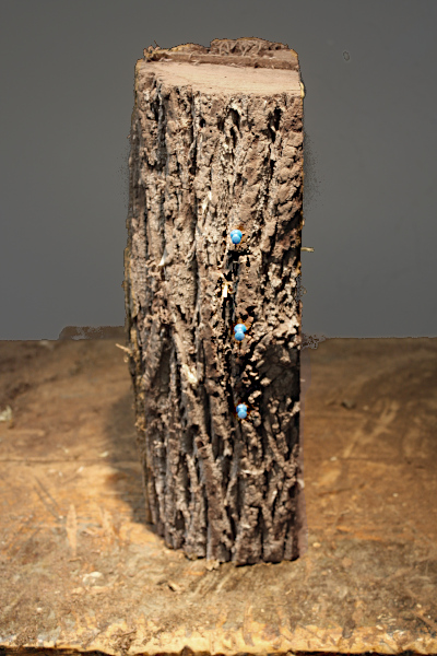 Blue section on the workbench.